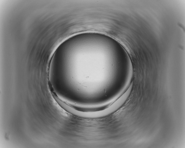 X0000093491532200710261107