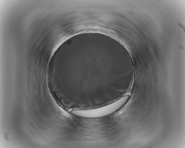 X0000093491533200710261107