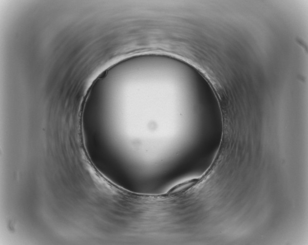 X0000093491534200710261107