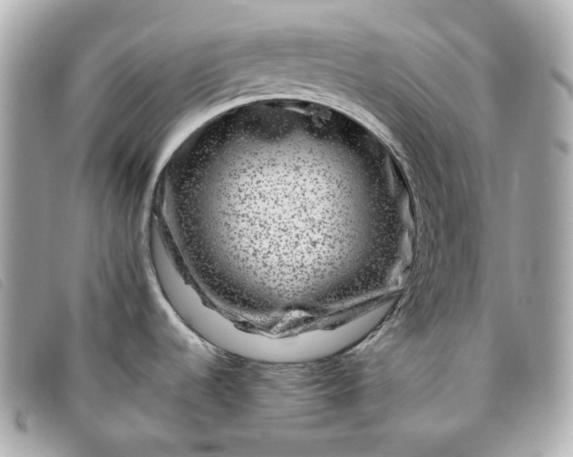 X0000093491536200710261107