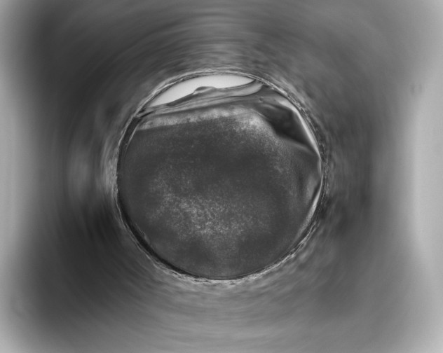 X0000093490002200711021000