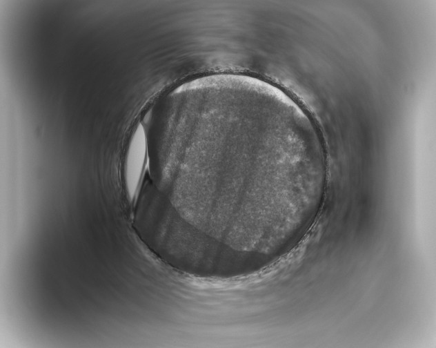 X0000093490009200711021000