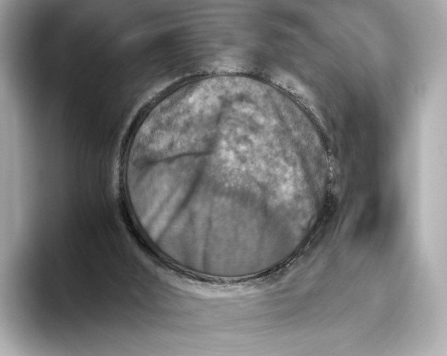 X0000093490012200711021000