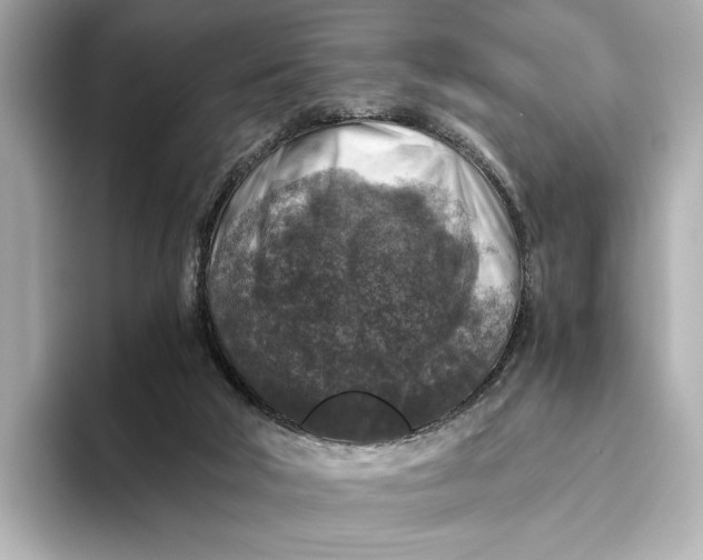 X0000093490018200711021000