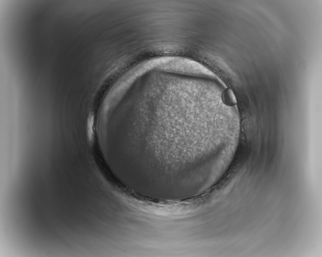 X0000093490024200711021000