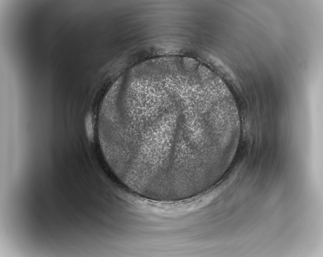 X0000093490026200711021000