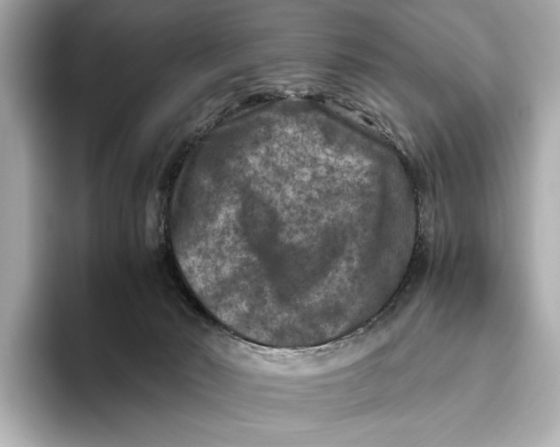 X0000093490030200711021000