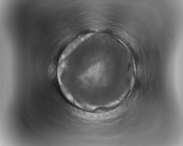 X0000093490043200711020959