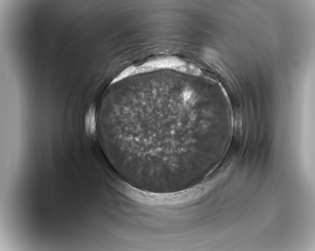 X0000093490046200711020959