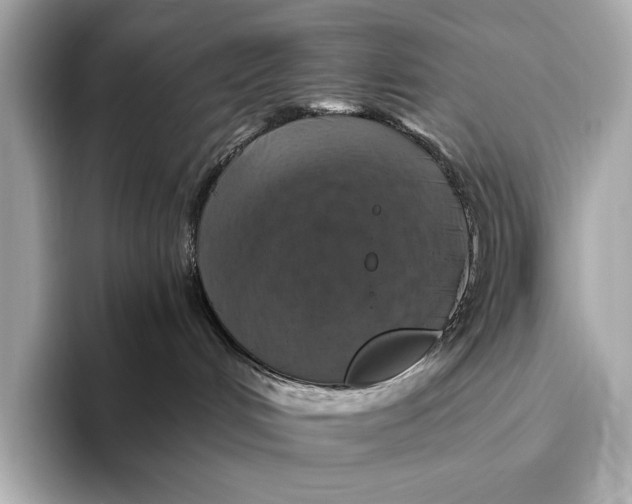 X0000093490048200711020959