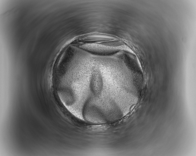 X0000093490050200711020959