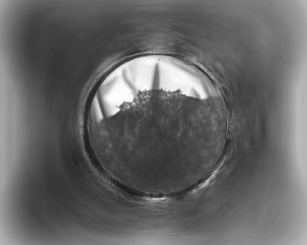 X0000093490055200711020959