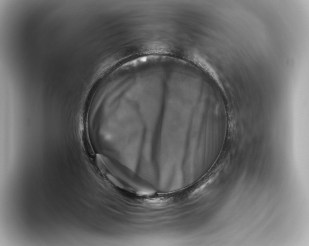 X0000093490059200711020959