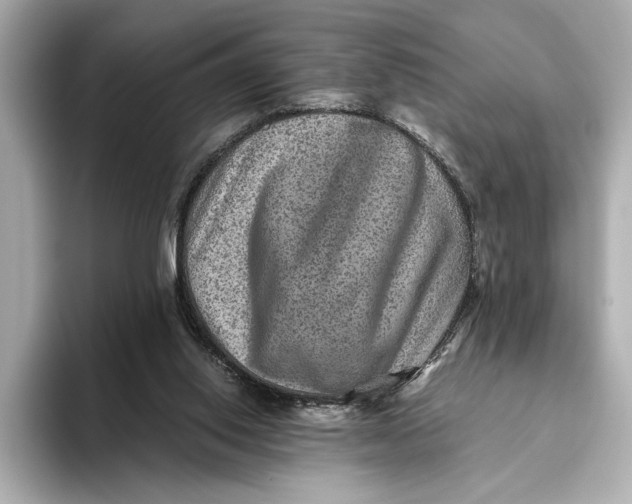 X0000093490062200711020959