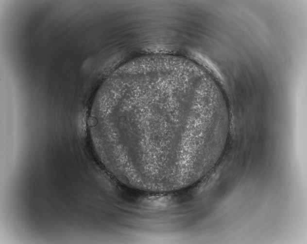 X0000093490065200711020959