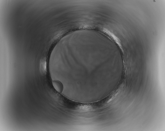 X0000093490067200711020959