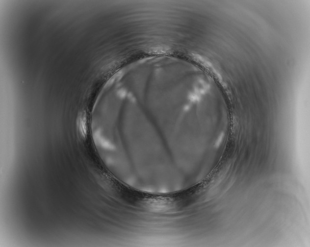 X0000093490069200711020959