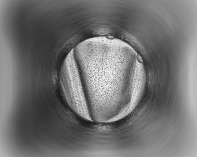 X0000093490073200711020959