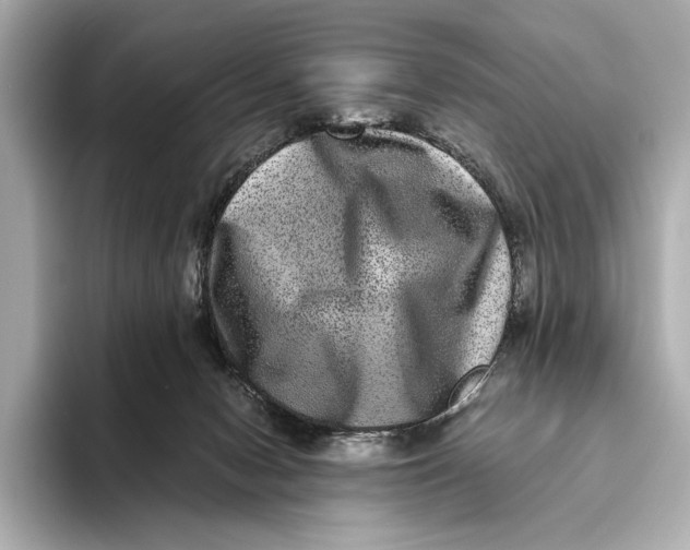 X0000093490078200711020959