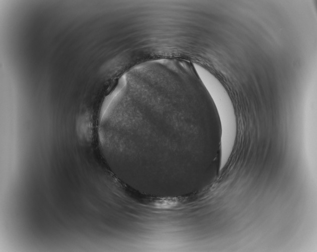 X0000093490080200711020959