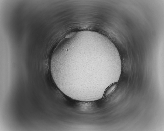 X0000093490085200711020959