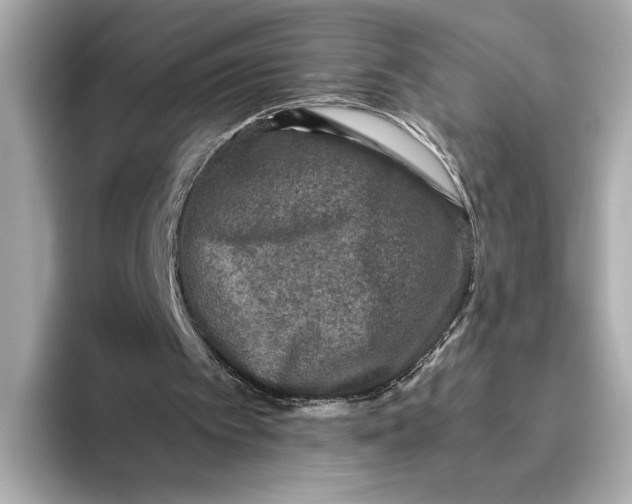 X0000093490097200711020959