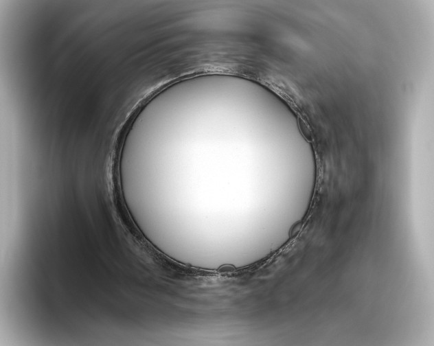 X0000093490098200711020959