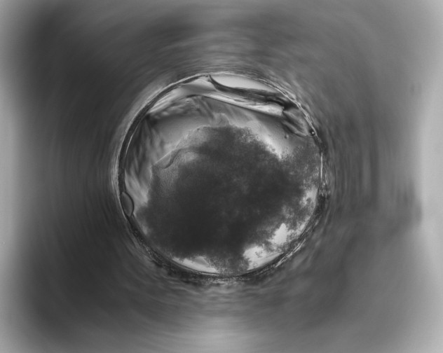 X0000093490099200711020959