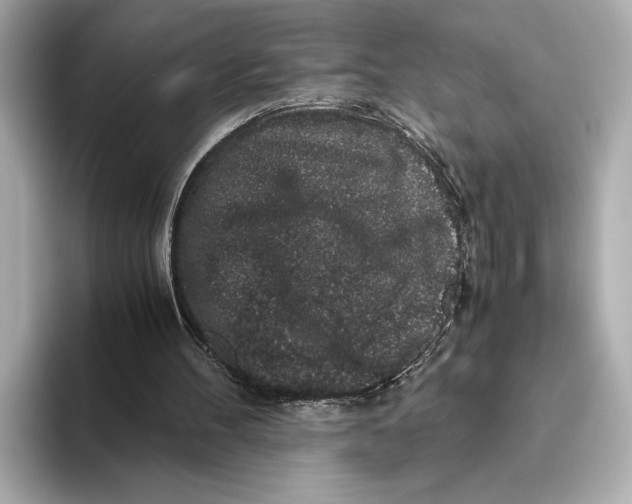 X0000093490100200711020959