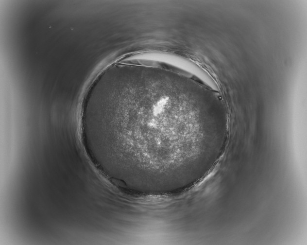 X0000093490101200711020959