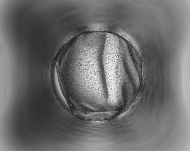 X0000093490105200711020959