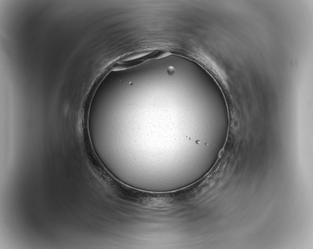 X0000093490107200711020959