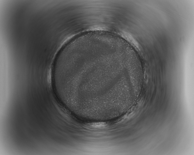 X0000093490108200711020959