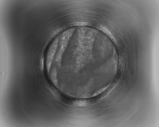 X0000093490110200711020959