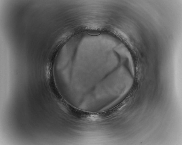 X0000093490114200711020959