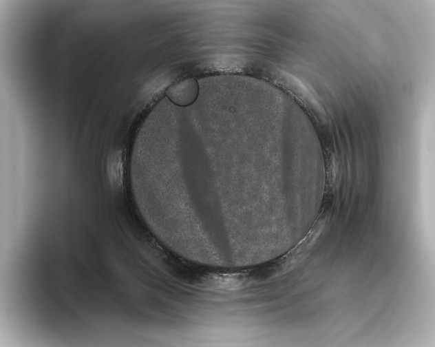 X0000093490120200711020959