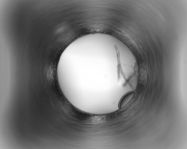 X0000093490126200711020958