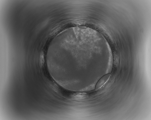 X0000093490128200711020958