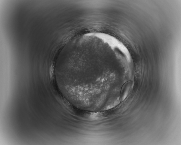 X0000093490130200711020958