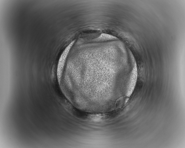 X0000093490131200711020958