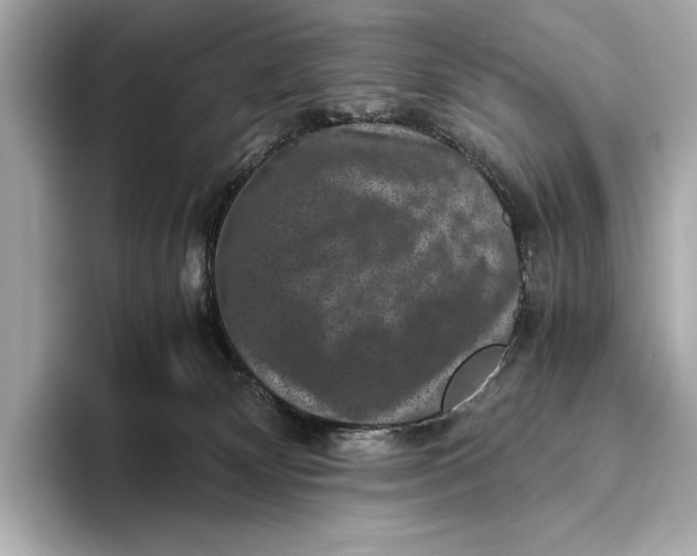 X0000093490132200711020958