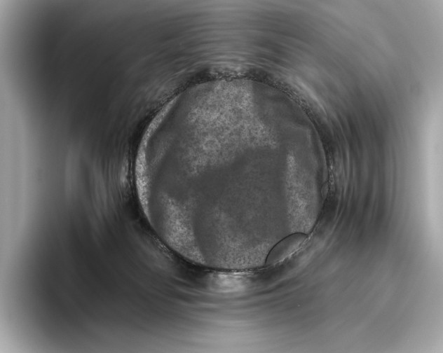 X0000093490134200711020958