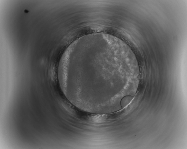 X0000093490136200711020958