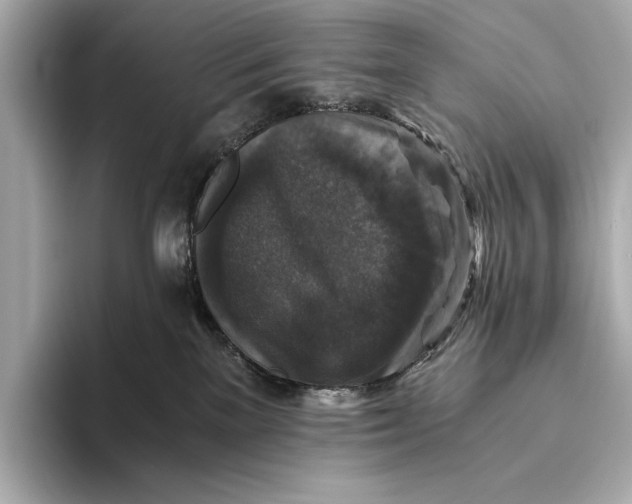 X0000093490137200711020958