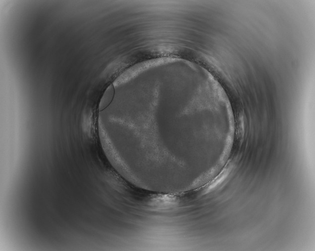 X0000093490140200711020958