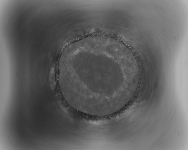 X0000093490144200711020958