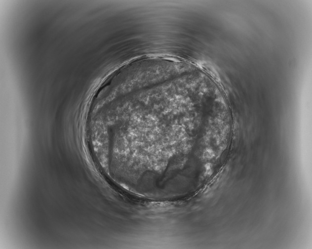 X0000093490145200711020958