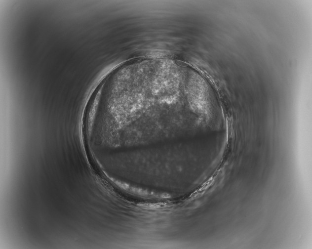 X0000093490147200711020958