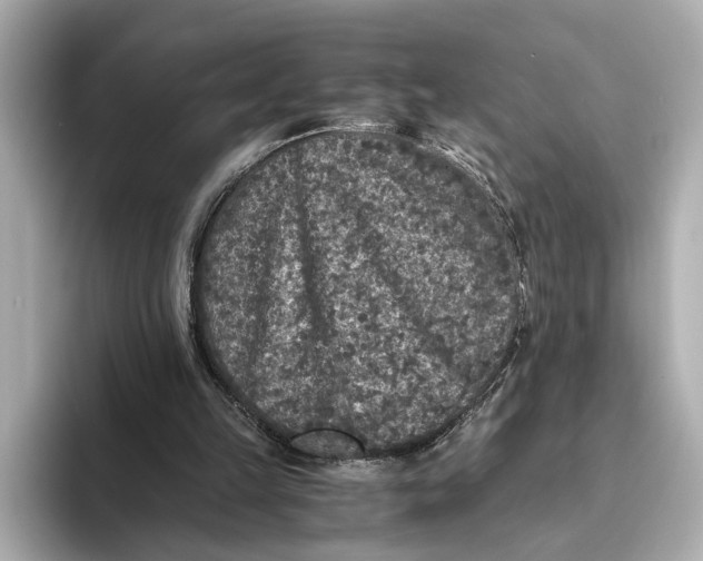 X0000093490149200711020958