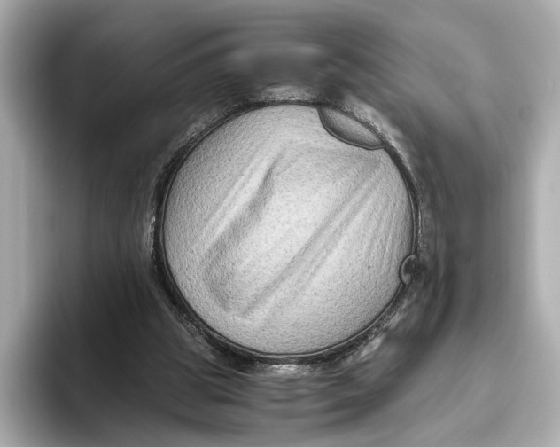 X0000093490153200711020958